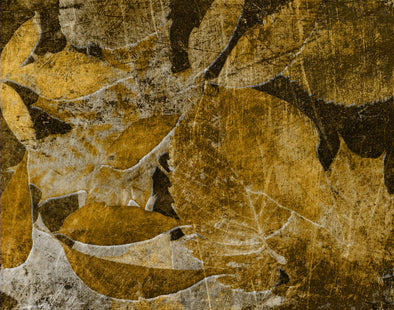 Pachamama Collection