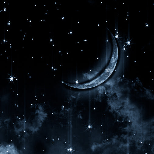 Black Moon & Star Asymmetrical Earrings
